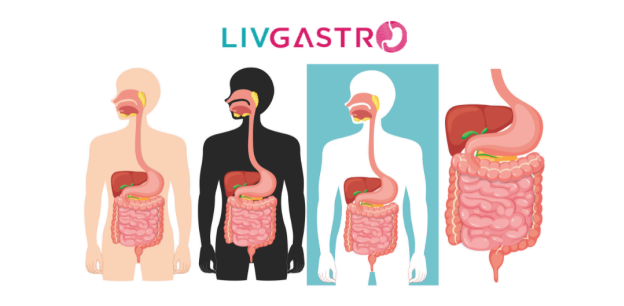 8 Things You Should Know About Digestive Health