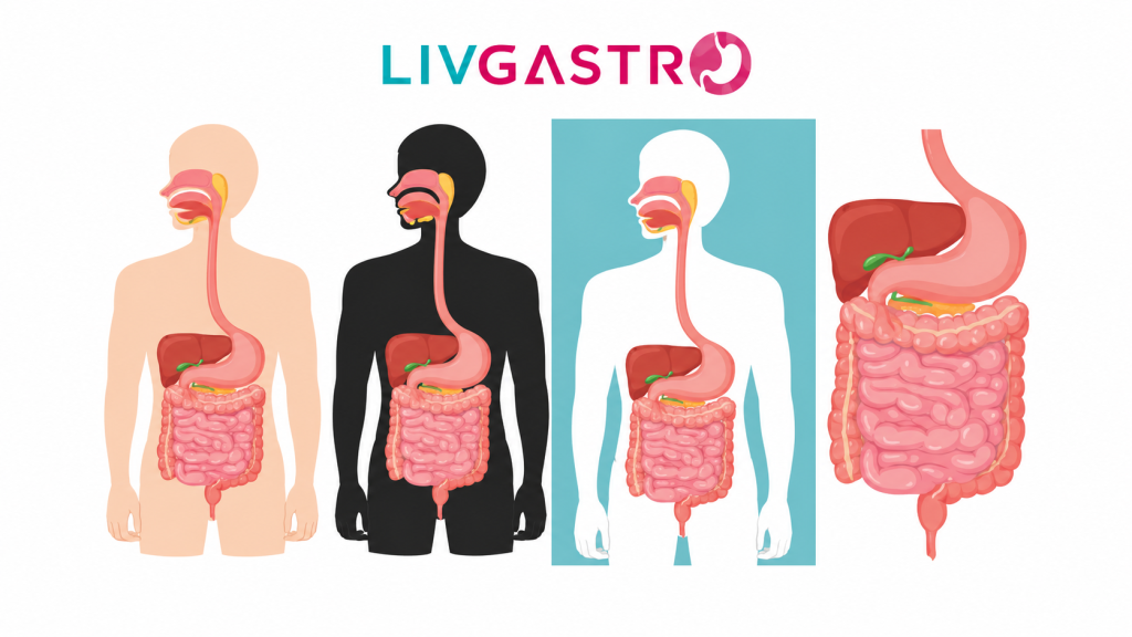 Healthy digestive system illustration with digestive organs, nutritious foods, and wellness concepts
