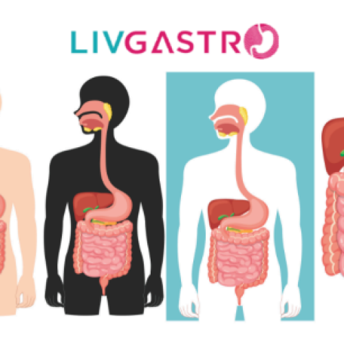 Healthy digestive system illustration with digestive organs, nutritious foods, and wellness concepts